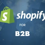 Shopify released its new features for B2B